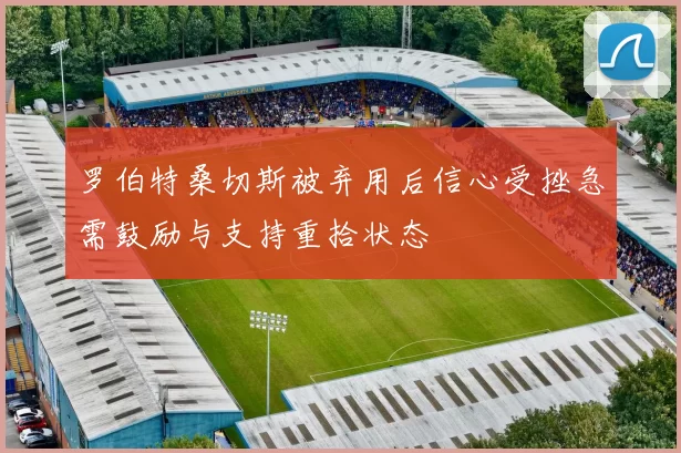 罗伯特桑切斯被弃用后信心受挫急需鼓励与支持重拾状态