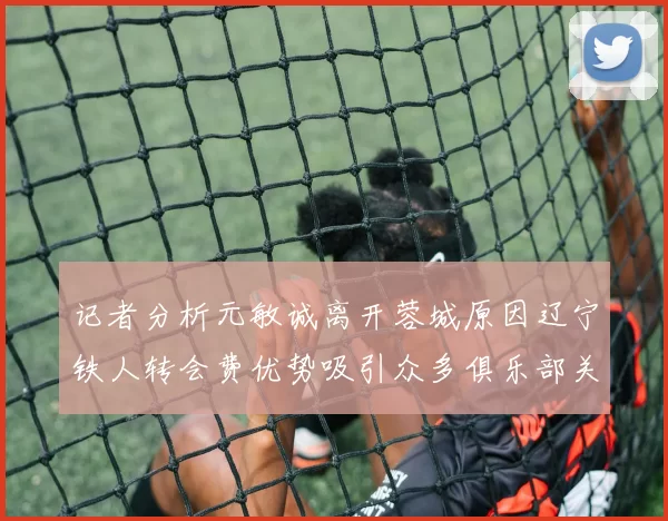 记者分析元敏诚离开蓉城原因辽宁铁人转会费优势吸引众多俱乐部关注
