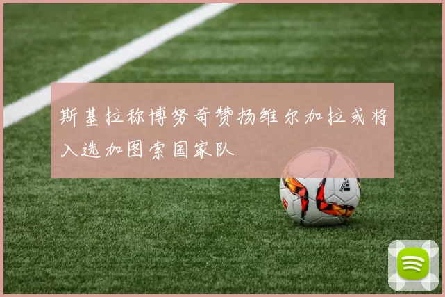 斯基拉称博努奇赞扬维尔加拉或将入选加图索国家队