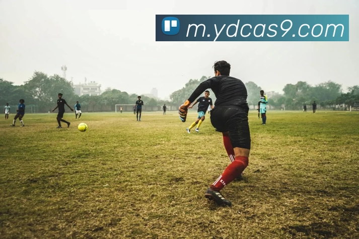 云鼎娱乐场平台生态图